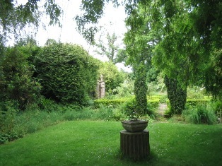 Belfast garden: 