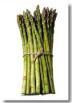 asparagus: 