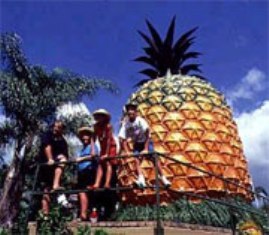 Big Pineapple: 