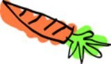 carrot: 