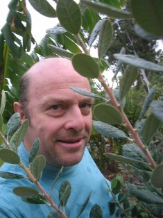 feijoa hunting: 
