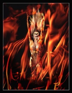 in hell: 
