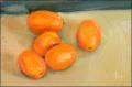 kumquats: 