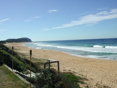 on the beach at terrigal: 