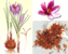 saffron: 