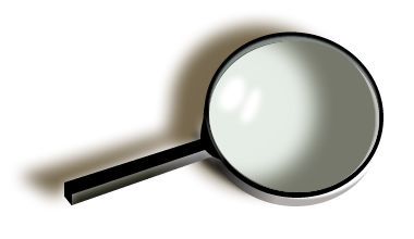search: 