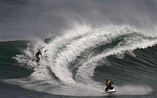 surfs up: 
