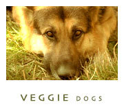 veggie dogs: 
